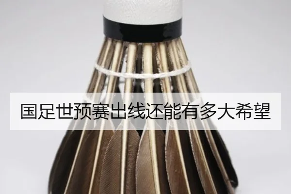 国足世预赛出线还能有多大希望