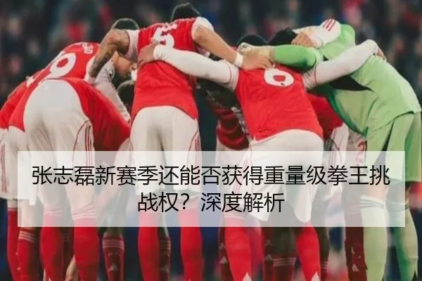 张志磊新赛季还能否获得重量级拳王挑战权？深度解析